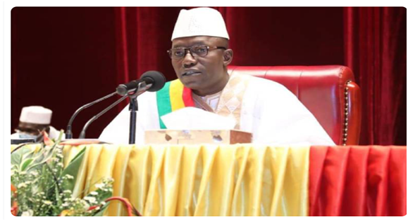 Fédération Malienne des Associations de Personnes
