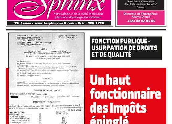 FONCTION PUBLIQUE – USURPATION DE DROITS ET DE QUALITÉ